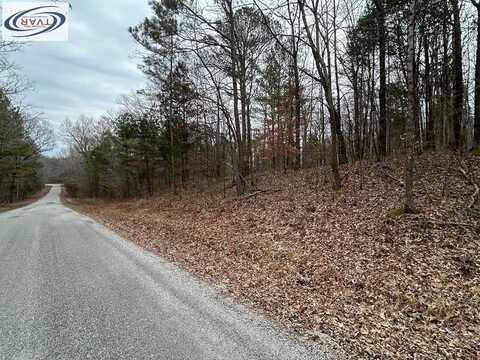 DOHERTY STORE RD, BIG SANDY, TN 38221