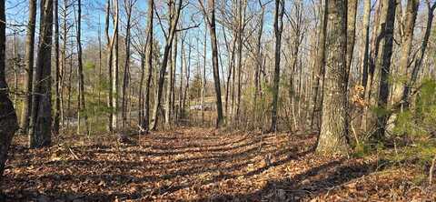 16 AC. Upper Crab Road, Jamestown, TN 38556