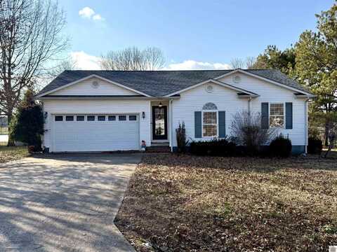 195 Chad Dr, Mayfield, KY 42066