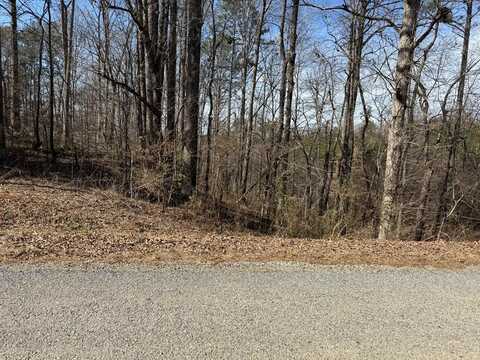 Co. Rd. 60, Heflin, AL 36264