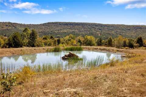 86 Lots Round Mountain Estates, Harrison, AR 72601