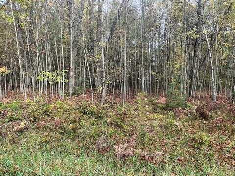 LOT 50 Hidden Hills, Houghton Lake, MI 48629