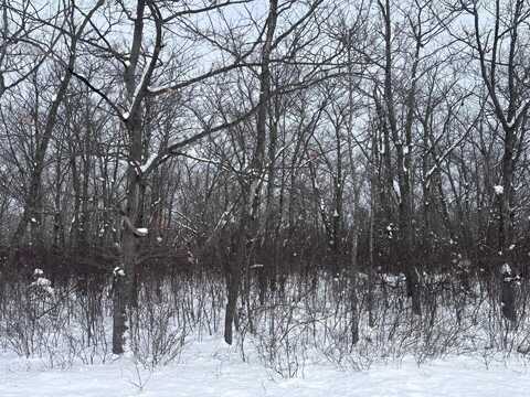 Lot 5 Highland Pines Road, Presque Isle, MI 49777