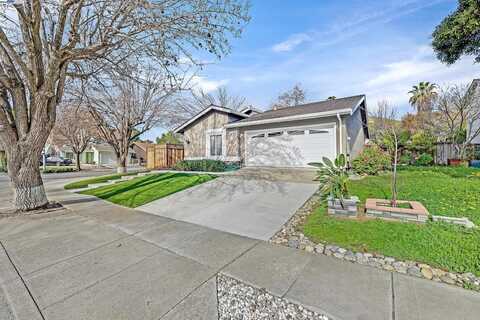 8 Snyder Way, Fremont, CA 94536