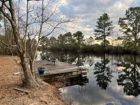 256 S Horsepen Drive, Harrells, NC 28444