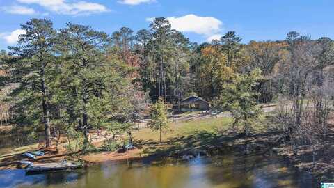 4500 CABIN ROAD, BESSEMER, AL 35022