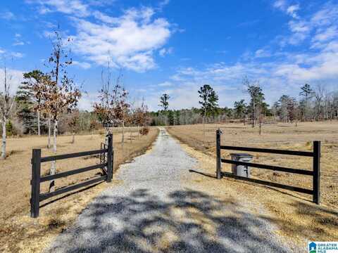 3760 COUNTY ROAD 73, GLEN ALLEN, AL 35559