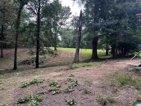 1959 BLUE SKY ROAD, ADGER, AL 35006