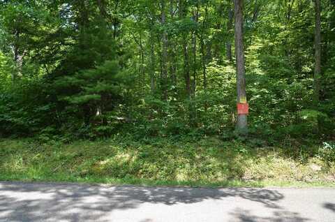 Lot # 2 Hibbard Road, Big Flats, NY 14845