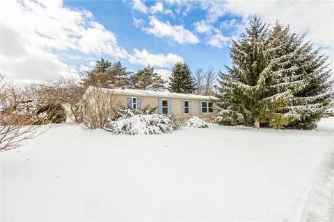 420 Mountain Ash Drive, Hopewell, NY 14424