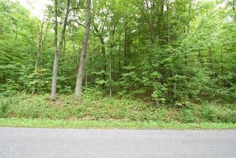 Lot 14 Hibbard Road, Big Flats, NY 14845