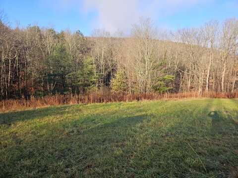 651 Christian Hollow Road, Southport, NY 14871