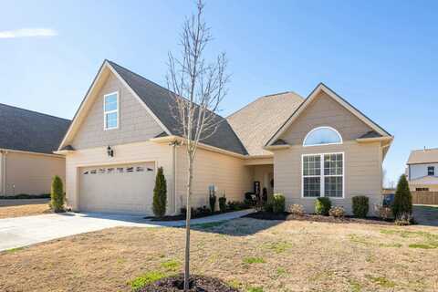 7595 Snow Cone Way, Ooltewah, TN 37363