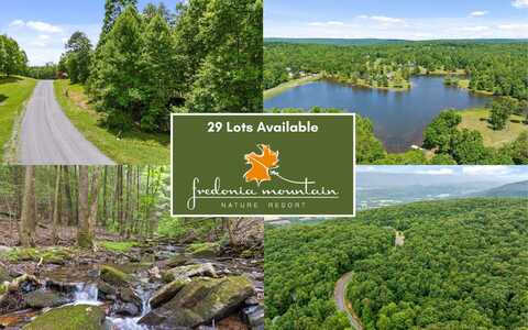 Fredonia Drive, Dunlap, TN 37327