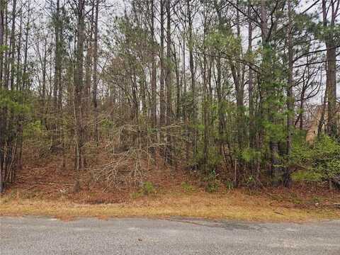 LEE ROAD 0243, SMITHS STATION, AL 36877