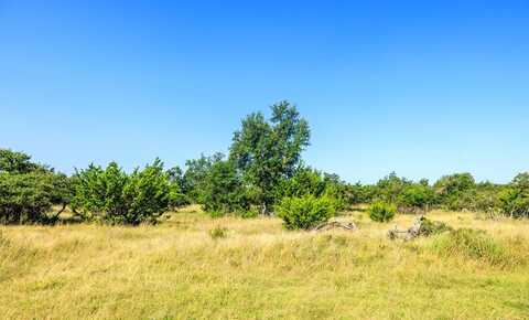 000 -- Pecan Creek Rd, Fredericksburg, TX 78624