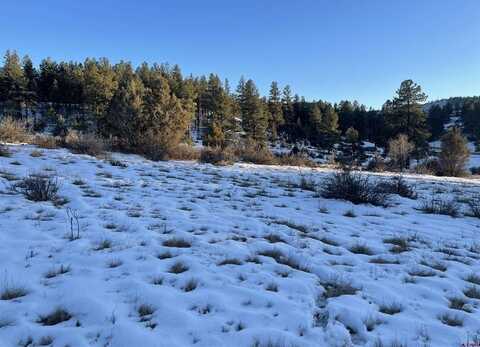 175 Stollstiemer Lane, Pagosa Springs, CO 81147