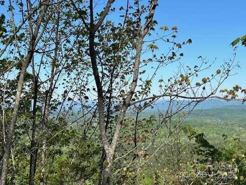 Arbra Mountain Way, Bostic, NC 28018