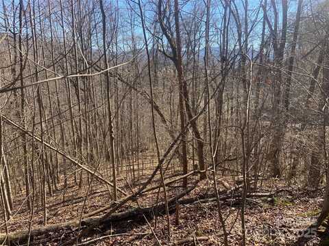 Ashe Branch Circle unit: 38C, Hayesville, NC 28904