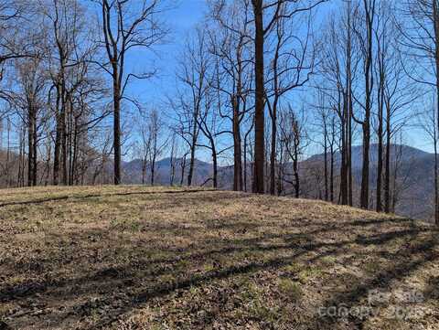 501 Warbler Lane, Black Mountain, NC 28711