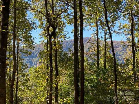 501 Warbler Lane unit: T-62, Black Mountain, NC 28711
