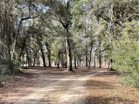 0 Louis Berry Lane, Edisto Island, SC 29438