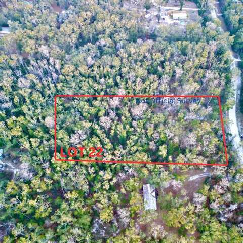 lot 22 173rd Ave, Old Town, FL 32680