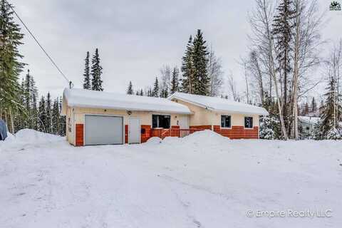 1115 ICHABOD STREET, North Pole, AK 99705