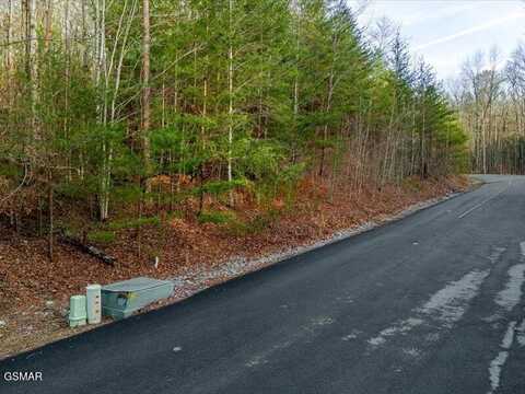 Lot 50e Harvest Moon Road, Sevierville, TN 37862