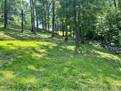 534 Bonnevista Drive, White Pine, TN 37890