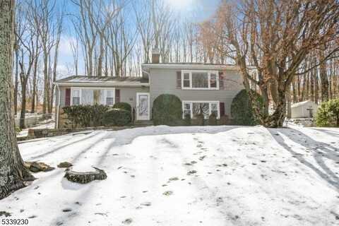 43 Pleasant Hill Rd, Roxbury Township, NJ 07876