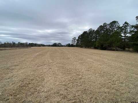 TBD - Lot 1/1 CR 3414, Rusk, TX 75785