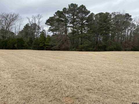 TBD - LOT 2/1 CR 1314, Rusk, TX 75785