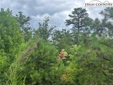 Tbd Lobelia Lane, Boone, NC 28607