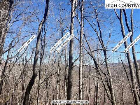 Lot 24 Jewel Weed, Newland, NC 28657