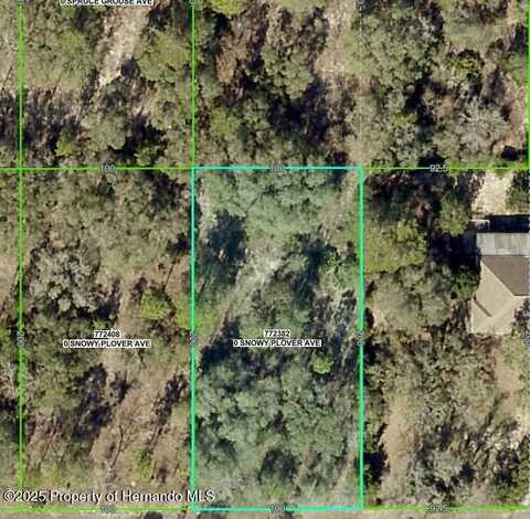 0 Snowy Plover Avenue, Weeki Wachee, FL 34614