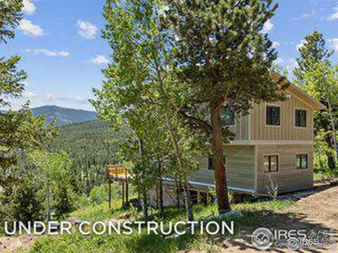 494 N Skinner Rd, Allenspark, CO 80510