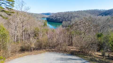 Lot 3 Chapman Lane, Jacksboro, TN 37757