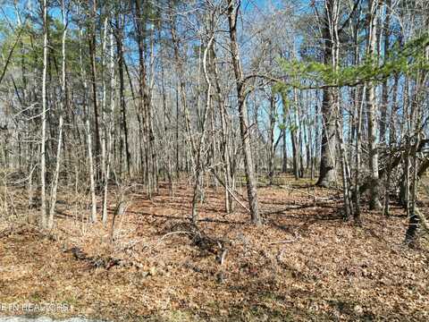 Turner Greenhouse Rd, Crossville, TN 38572