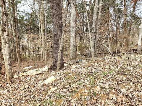 Lot 6 Lynn Drive Drive, Maynardville, TN 37807