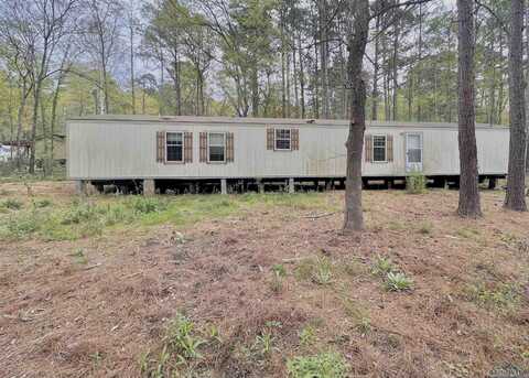 210 Walnut Drive, Harleton, TX 75651