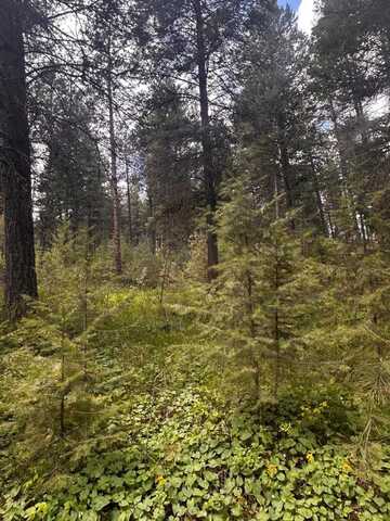 TBD Sorrel Drive, New Meadows, ID 83654