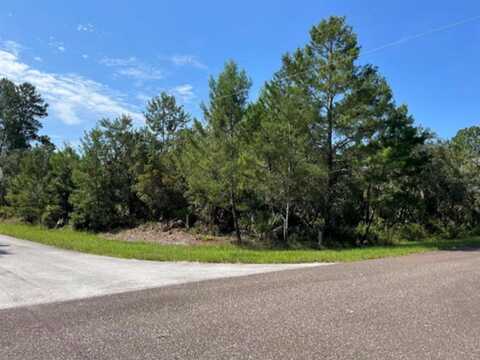 CHINABERRY STREET, EUSTIS, FL 32736