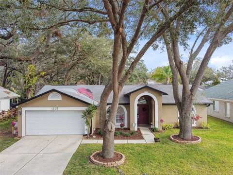 1337 GANGPLANK DRIVE, VALRICO, FL 33594