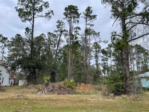 49 KATHLEEN TRAIL, PALM COAST, FL 32164