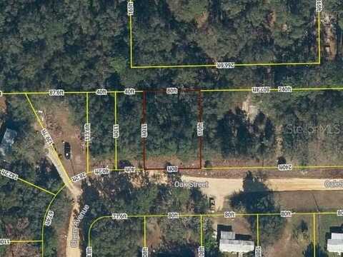 Lots 12 & 13 OAK STREET, HAWTHORNE, FL 32640