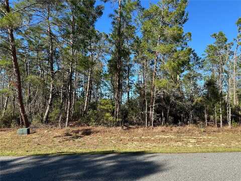 0000 SW 157TH STREET, OCALA, FL 34473