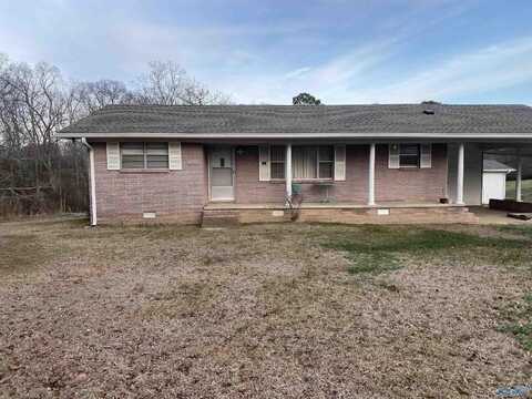 380 County Highway 35, Horton, AL 35980