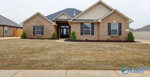 25703 Millbrook Drive, Madison, AL 35756