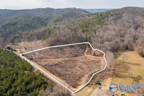 6 Little Wills Valley Road, Attalla, AL 35954